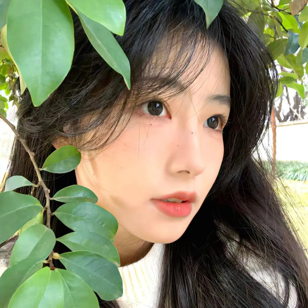 高蒂传